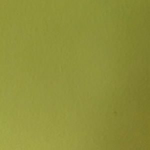 Meet your Posher, Maya